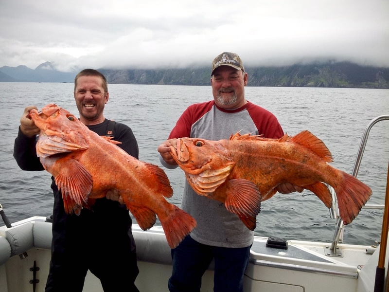 DeepStrike Sportfishing Alaska Rockfish Fishing Trips